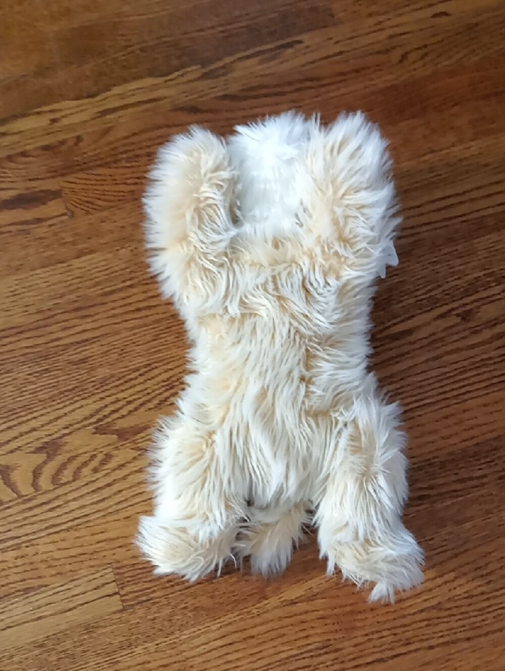 TY 2001 Jenkins Fuzzy Dog 13.5" - Picture 9 of 10